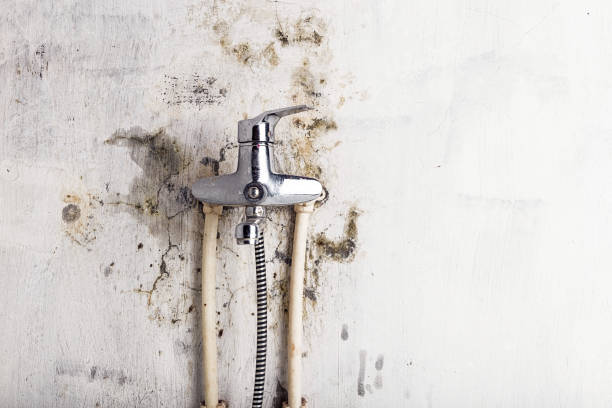 Best Office Mold Removal Services  in Harrisburg, NC