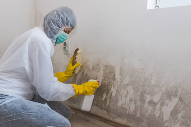 Best Crawl Space Mold Removal  in Harrisburg, NC