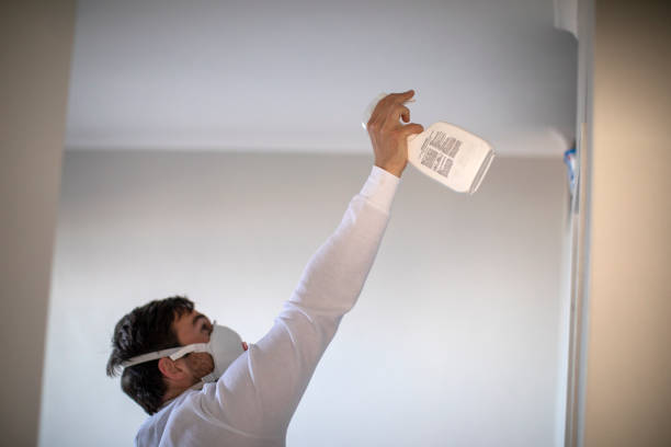 Best Mold Remediation  in Harrisburg, NC