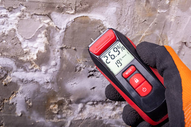 Professional Mold Removal in Harrisburg, NC