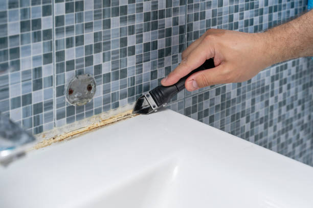 Best Mold Testing  in Harrisburg, NC