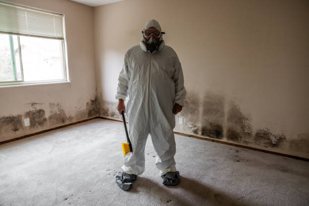 Best Professional Mold Removal  in Harrisburg, NC